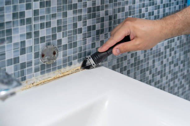 Best Health and Safety Mold Remediation in Corpus Christi, TX